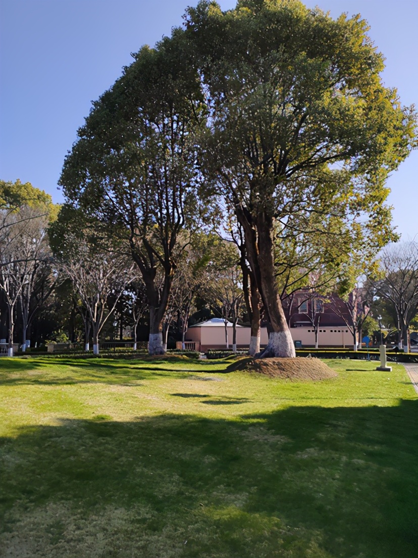 今天推荐几款zara凉鞋,zara和ur同款