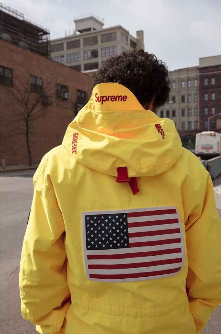 thenorthface真假辨别,thenorthface哪个好看