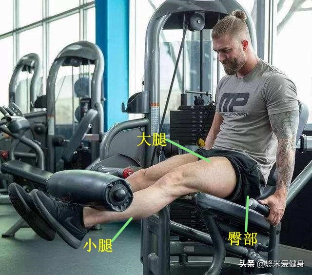 一副哑铃练遍全身肌肉新手,哑铃锻炼全身肌肉视频