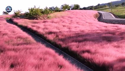 马鞍山周边自驾游去哪里好,马鞍山318川藏线自驾游