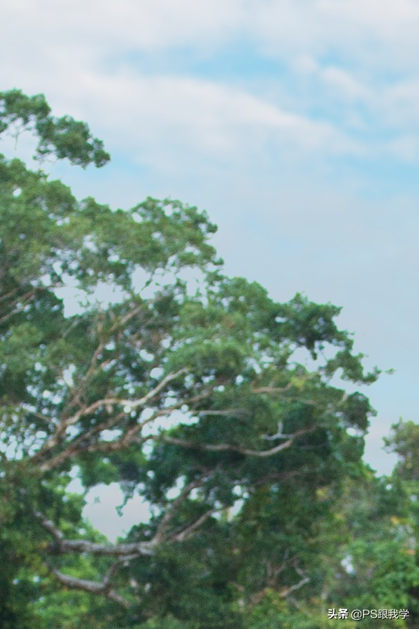 photoshop图层抠图,ps图层混合通道抠图技巧