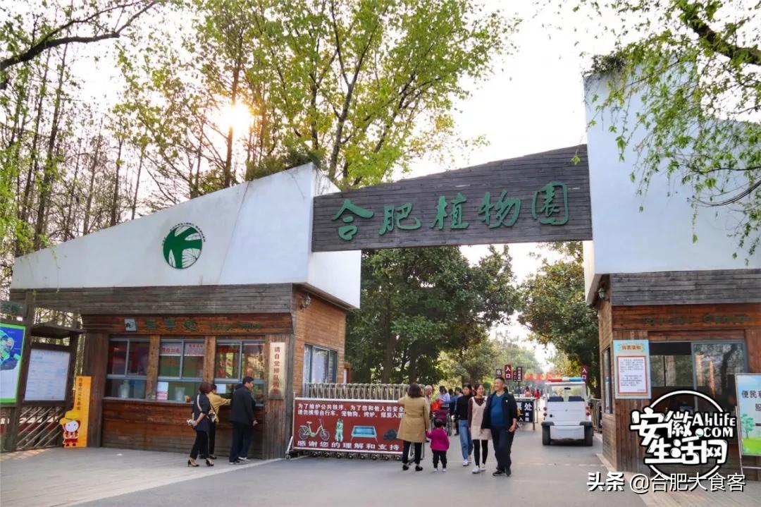 2020年,在这50个地方遇见不一样的合肥