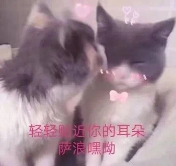 空姐导游化身带货主播？天猫国际这场跨界直播玩大了！