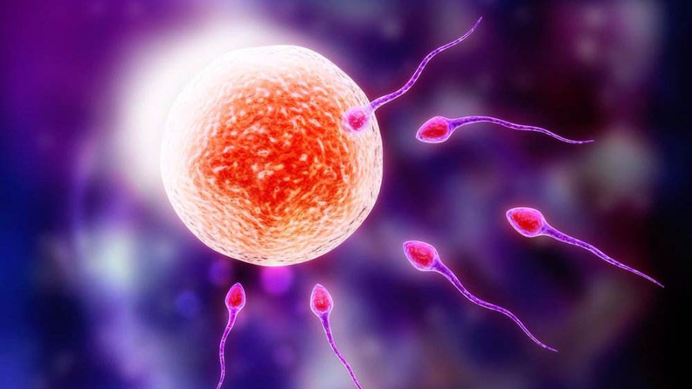 露脚踝会宫寒吗,露脚踝容易导致不孕吗