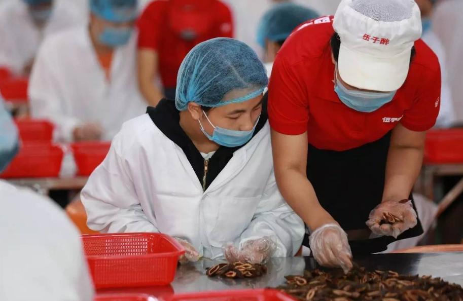 全世界公认的毒槟榔,槟榔有多可怕