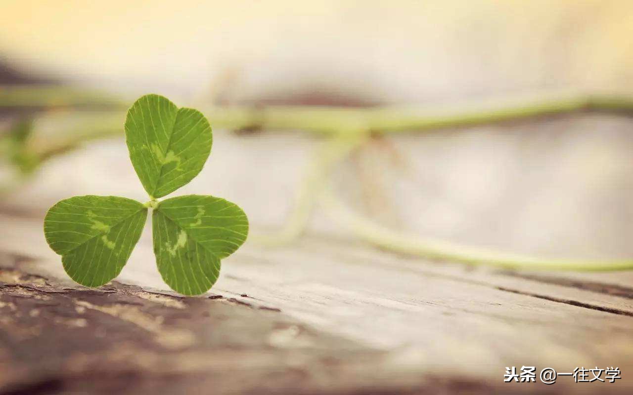 老祖宗四句经典名言字字珠玑,老祖宗流传的话句句是经典