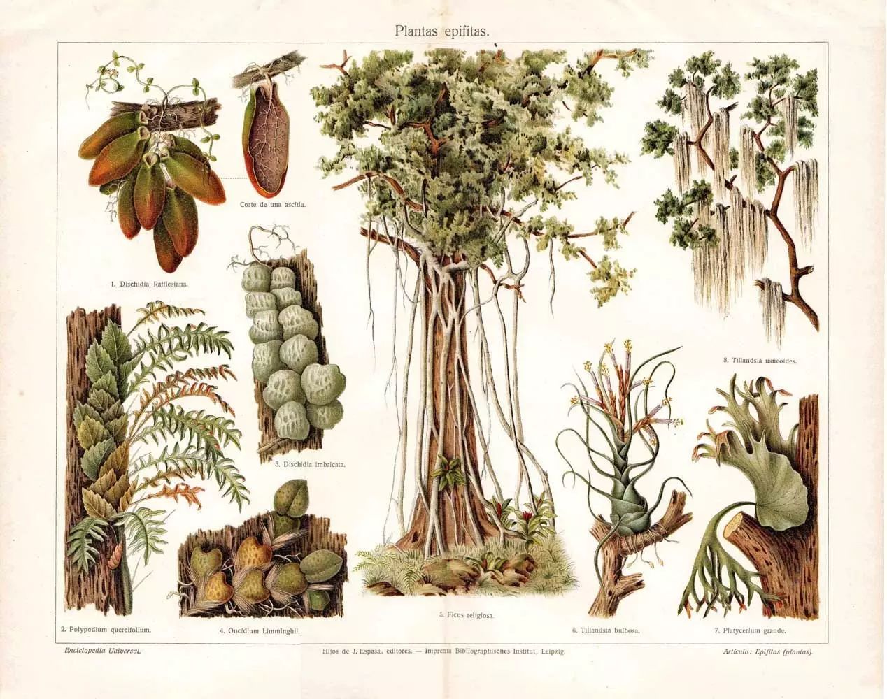 置爱｜植物1.0是种在盆儿里的，植物2.0都趴在墙上的