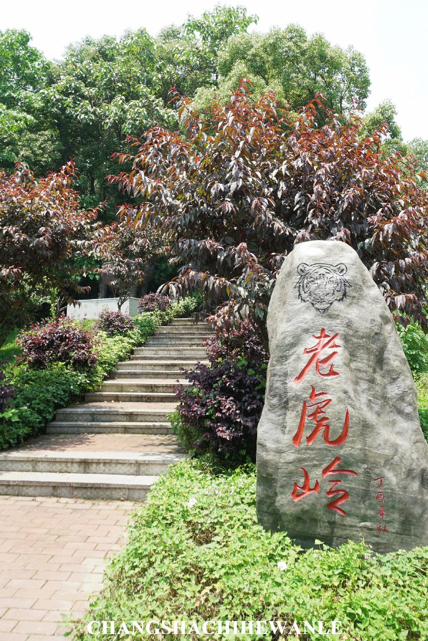 湖南商学院,湖南商学院清吧