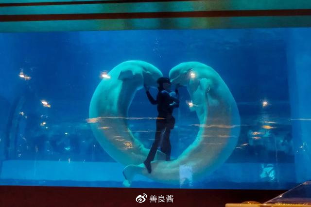 广州春节玩乐攻略,春节广州亲子游攻略