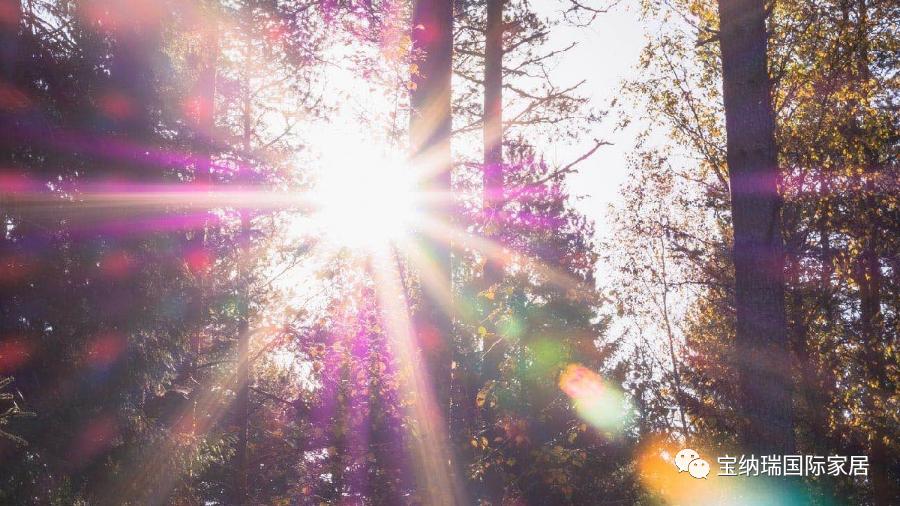 乳胶床垫怎么清洁,买了乳胶床垫怎么散甲醛