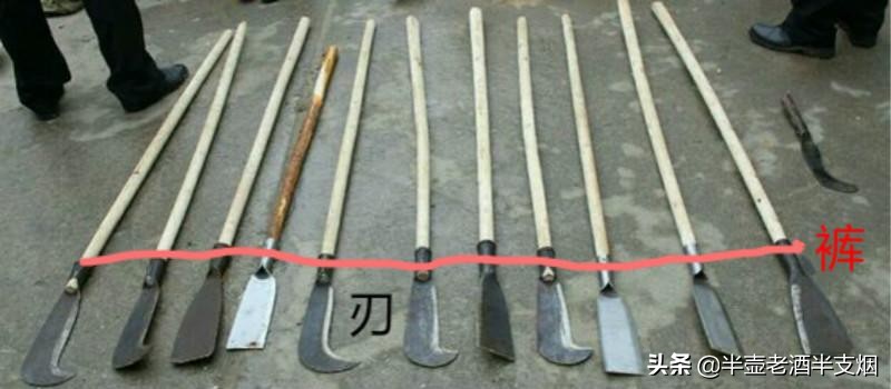 朴刀到底什么样有多长？某地抓获一批人，他们的*器武**跟朴刀最相似