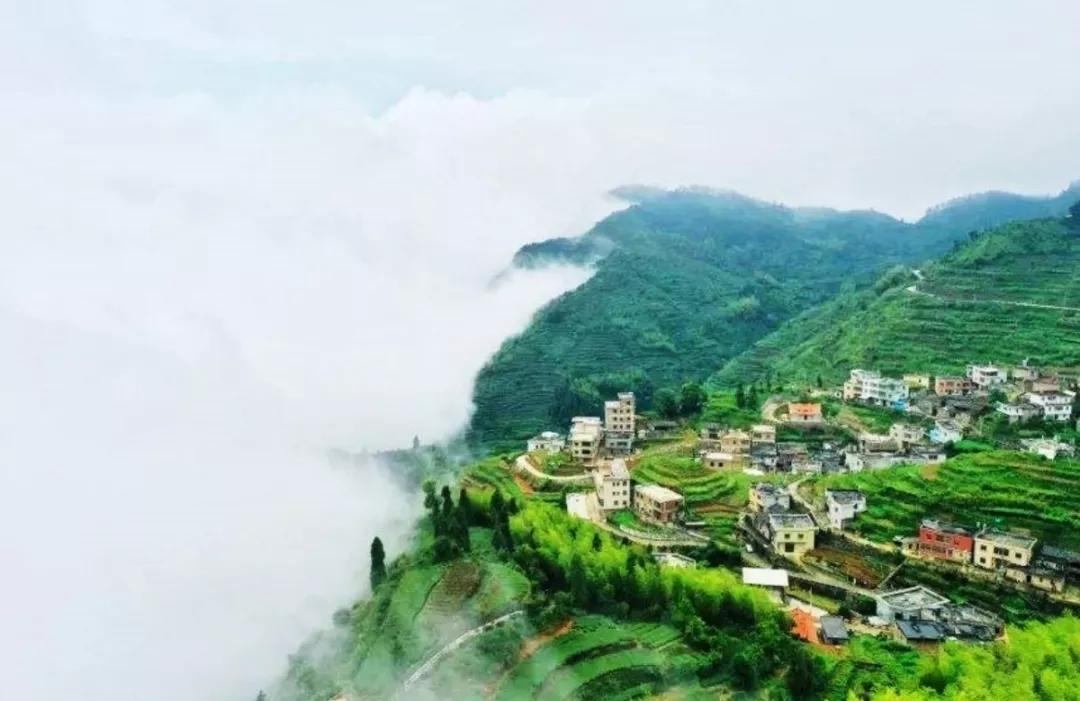 有玩有吃的礼物,有玩有吃的旅游景点