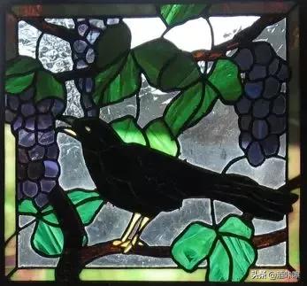 葡萄品种美霞美乐哪个好,葡萄品种美乐与西拉的区别