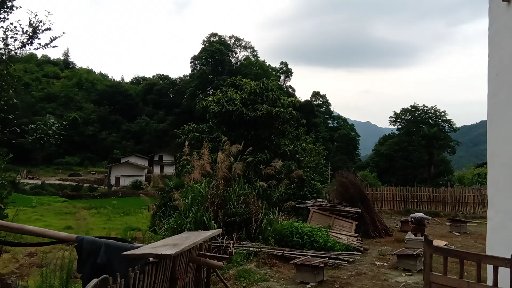 蜜蜂养殖深山农家土蜂蜜,蜜蜂养殖纯天然正宗蜂蜜