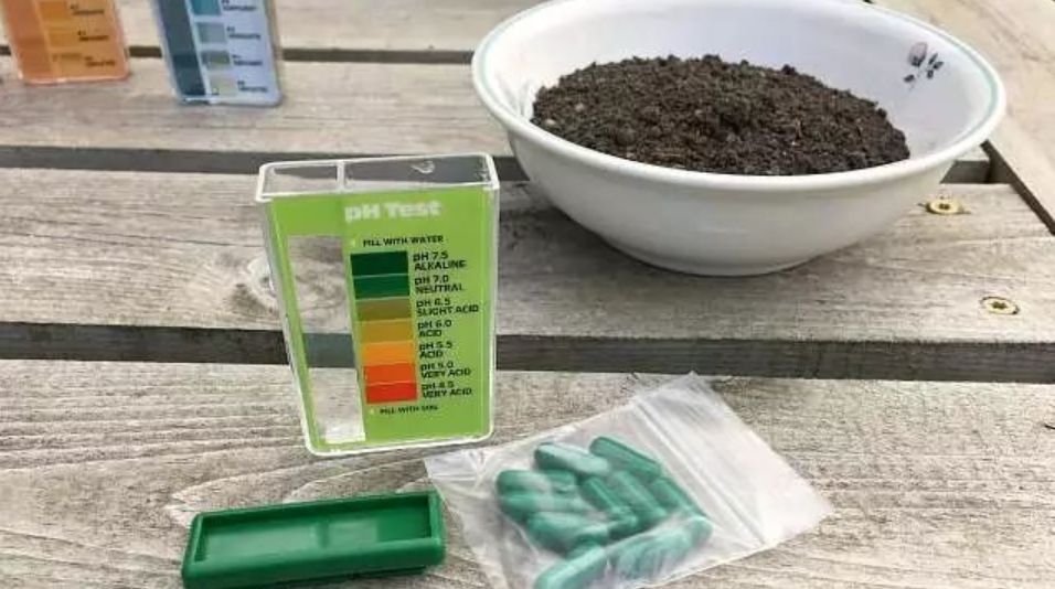 如何检测土壤的ph具体方法,如何不用ph试纸判断土壤的酸碱性