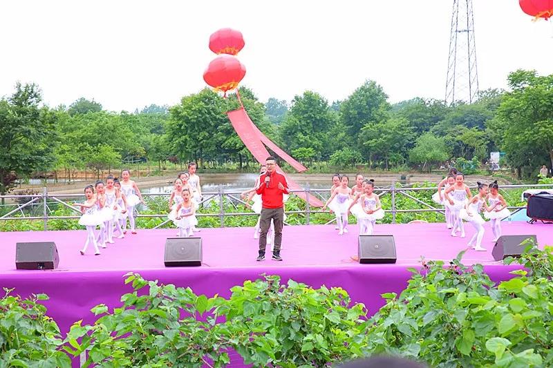 八方游客齐聚桑果紫酒节，共赴这场采桑品酿盛会