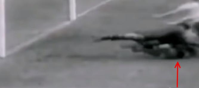 苏联黑蜘蛛,前苏联门将雅辛简介