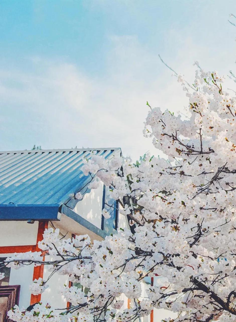 三亚和厦门哪一个更值得去旅游,三亚和厦门哪个更值得去旅游
