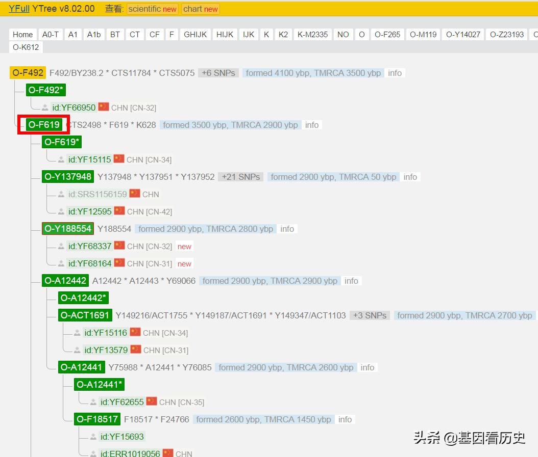 越人共有10多个支系