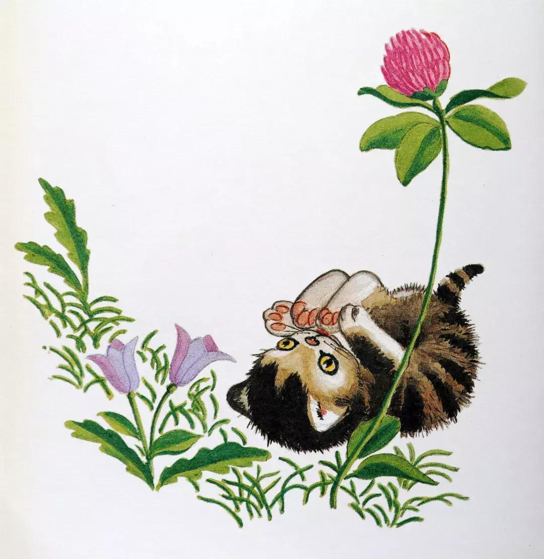 为什么要看绘本羞答答的小猫,幼儿绘本孤独的小猫推荐理由