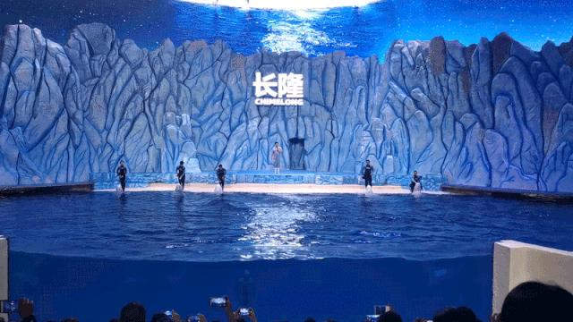 玩转珠海长隆全攻略,玩转珠海长隆海洋王国全攻略