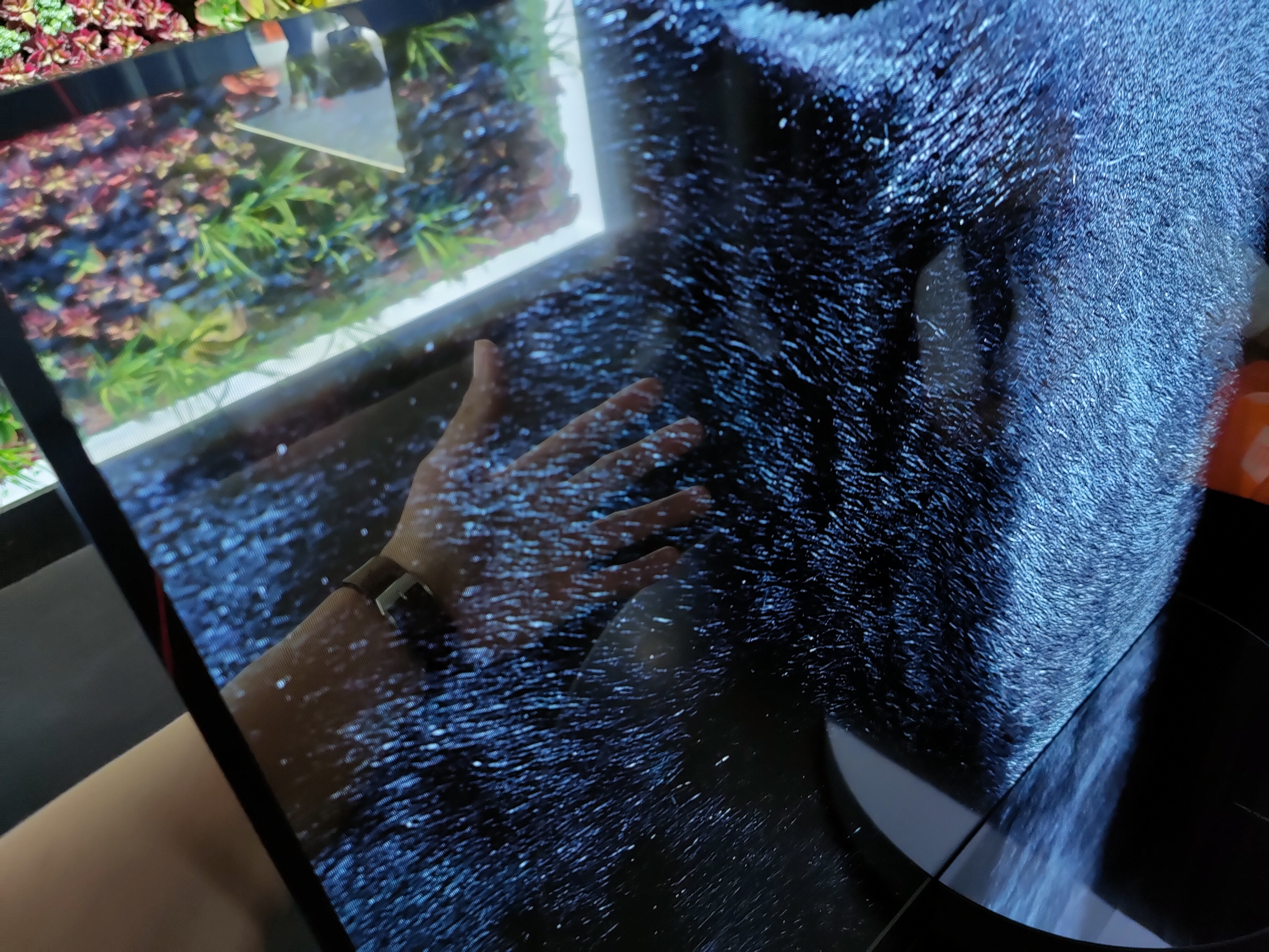 小米科技犬推荐,雷军小米极致爆款