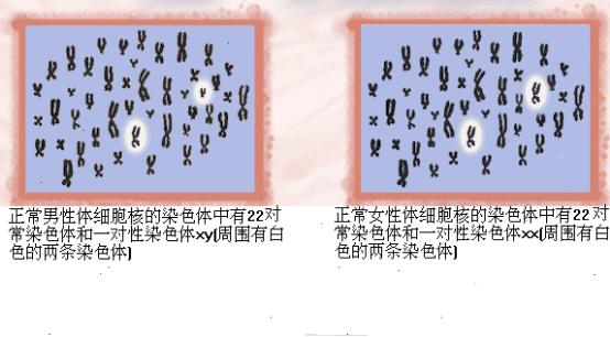 生育计划与生殖健康