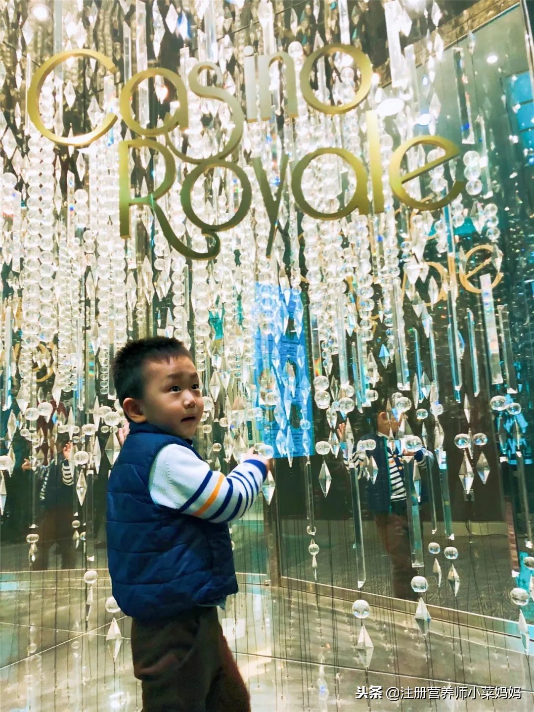 量子号航线攻略,量子号最全攻略