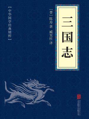 90后经典游戏三国志二,8090后三国志游戏攻略