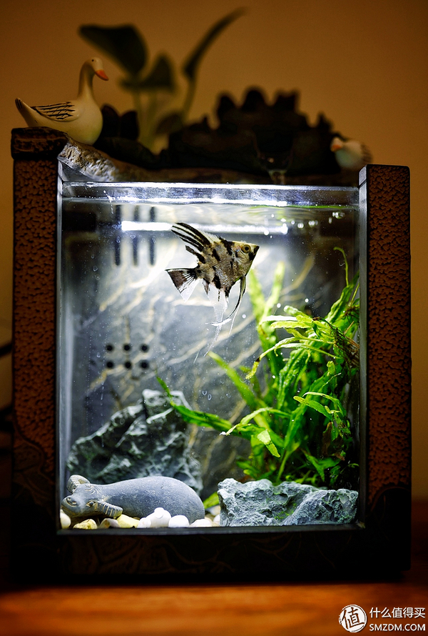 东半球男性礼物选购指南：那些年，媳妇送我的礼物从100元到10000