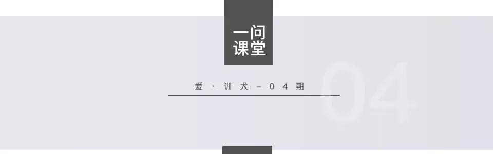 养狗训狗与狗病防治的区别,养狗训犬与疾病预防