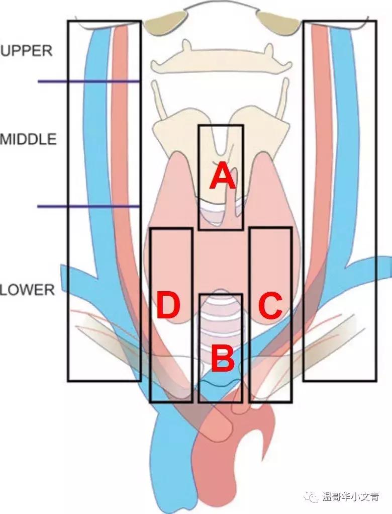 甲状腺癌治疗最好的医院排名,中药治疗甲状腺癌的有效方法