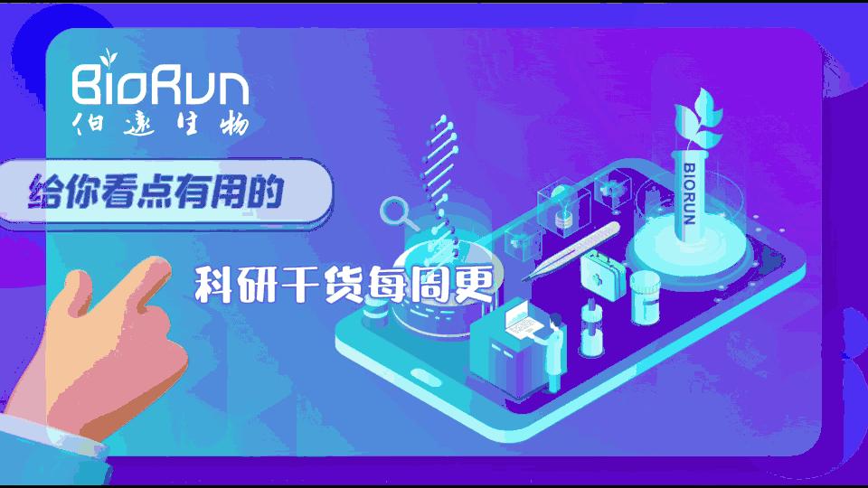 像素位图和矢量图的区别,像素位图矢量图