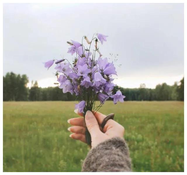 师父是成长路上的指路明灯,师傅是人生的指引者