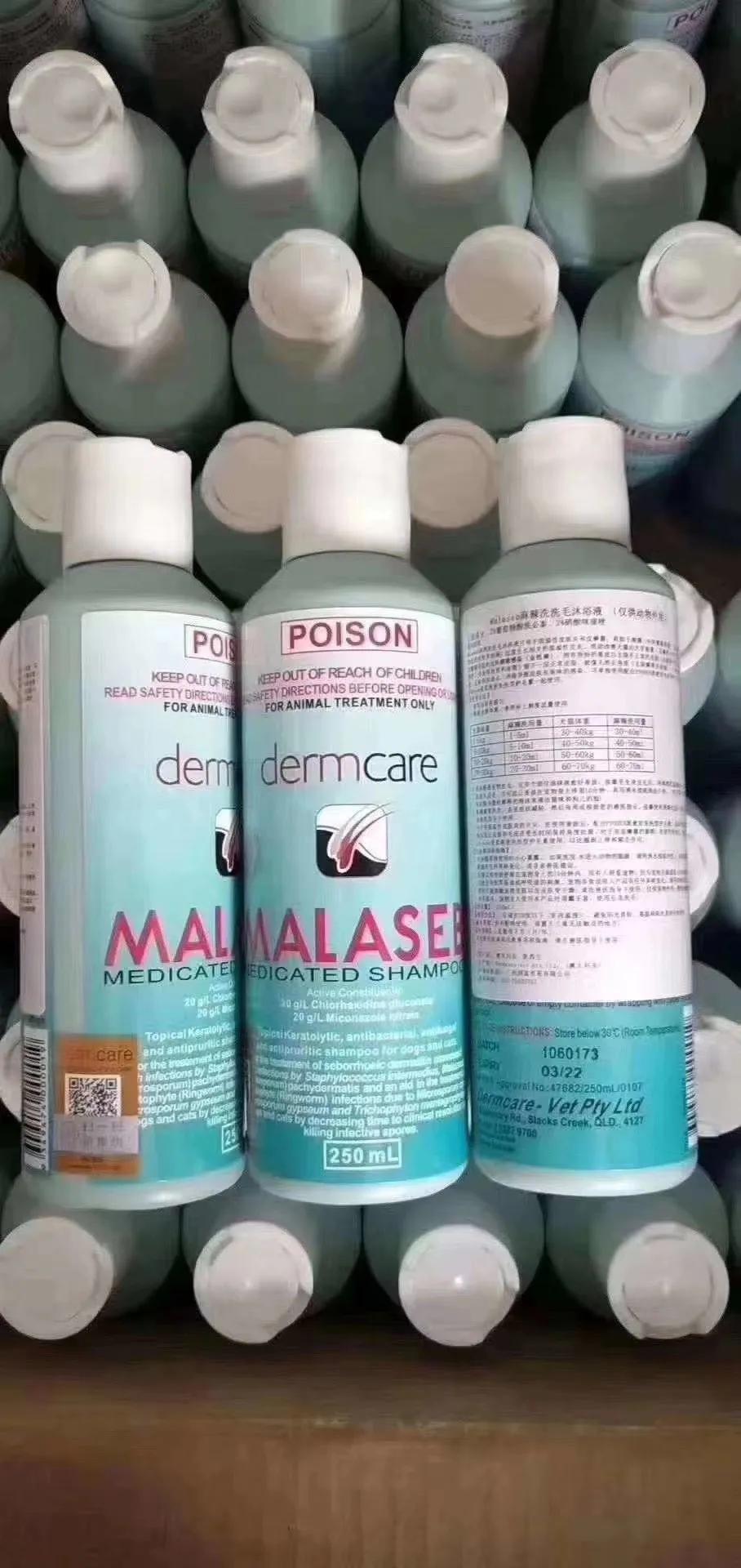 猫癣怎么预防和治疗,10年的老猫怎么照顾