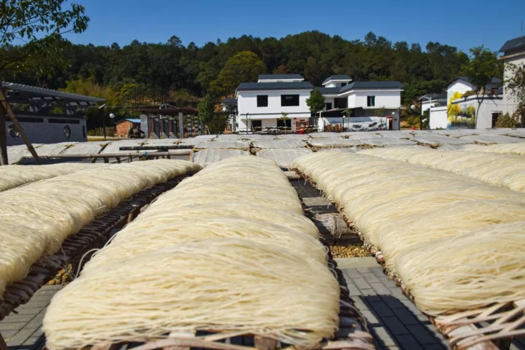 韶关最美乡村游,广东韶关乡村大自然的风景
