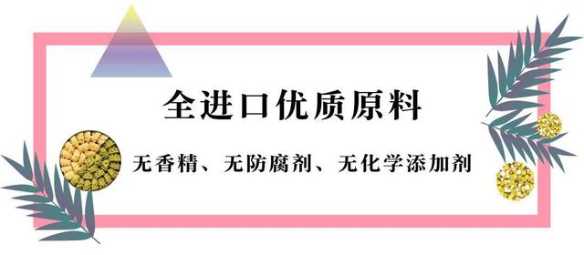 月售10000多盒的超人气饼干,曲奇饼干整箱零食