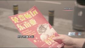 限时特惠出国游,超划算出国游