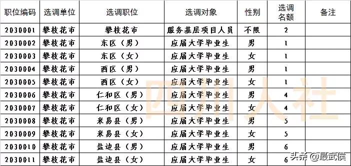 四川选调生2024选调公告官网,四川选调生2024选调公告名额