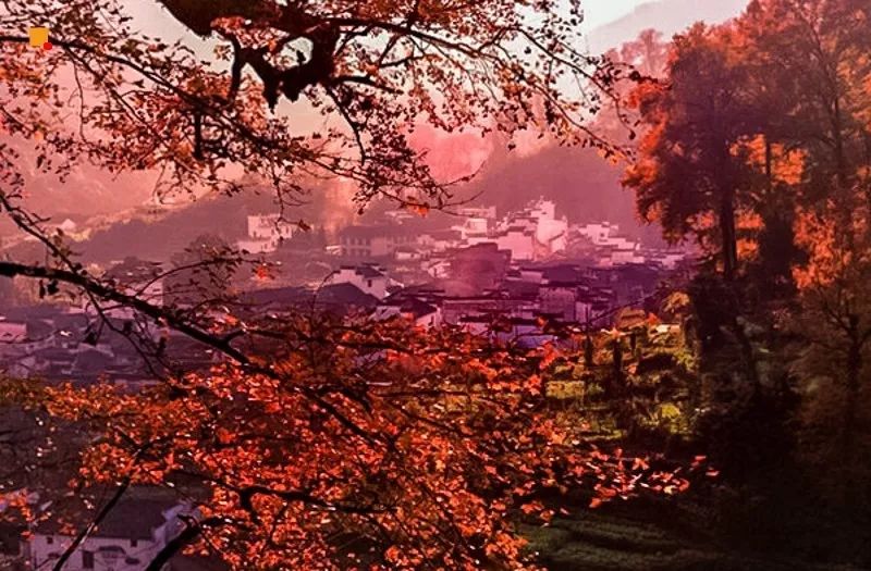 婺源篁岭赏秋,晒秋江西婺源篁岭