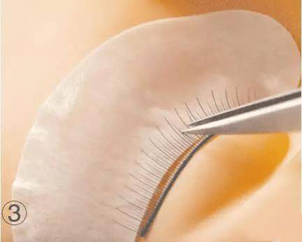 嫁接睫毛技术进行中,m型嫁接睫毛教程零基础手法