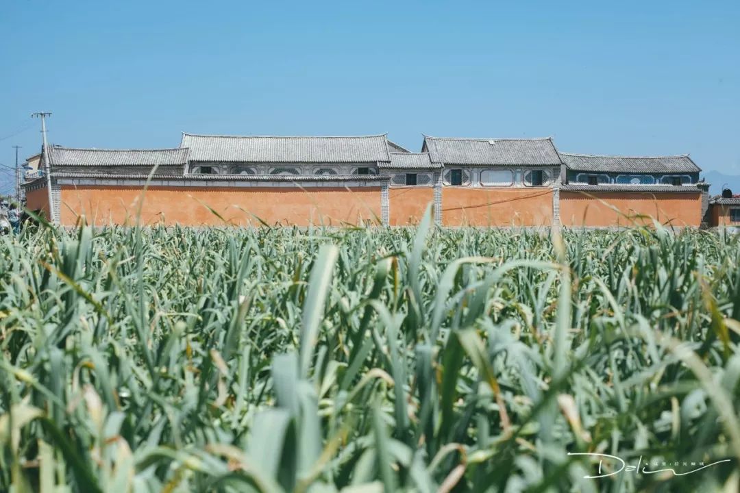 2019年全球必去的52个目的地,2023必去旅游地方排名