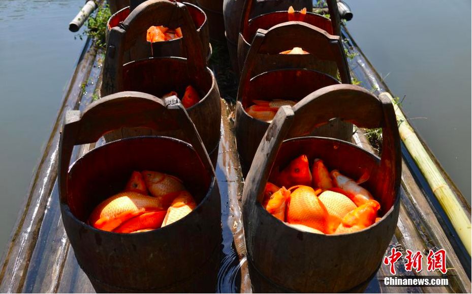 夏季警惕舌尖上的寄生虫,吃了不干净的东西哪里会有寄生虫