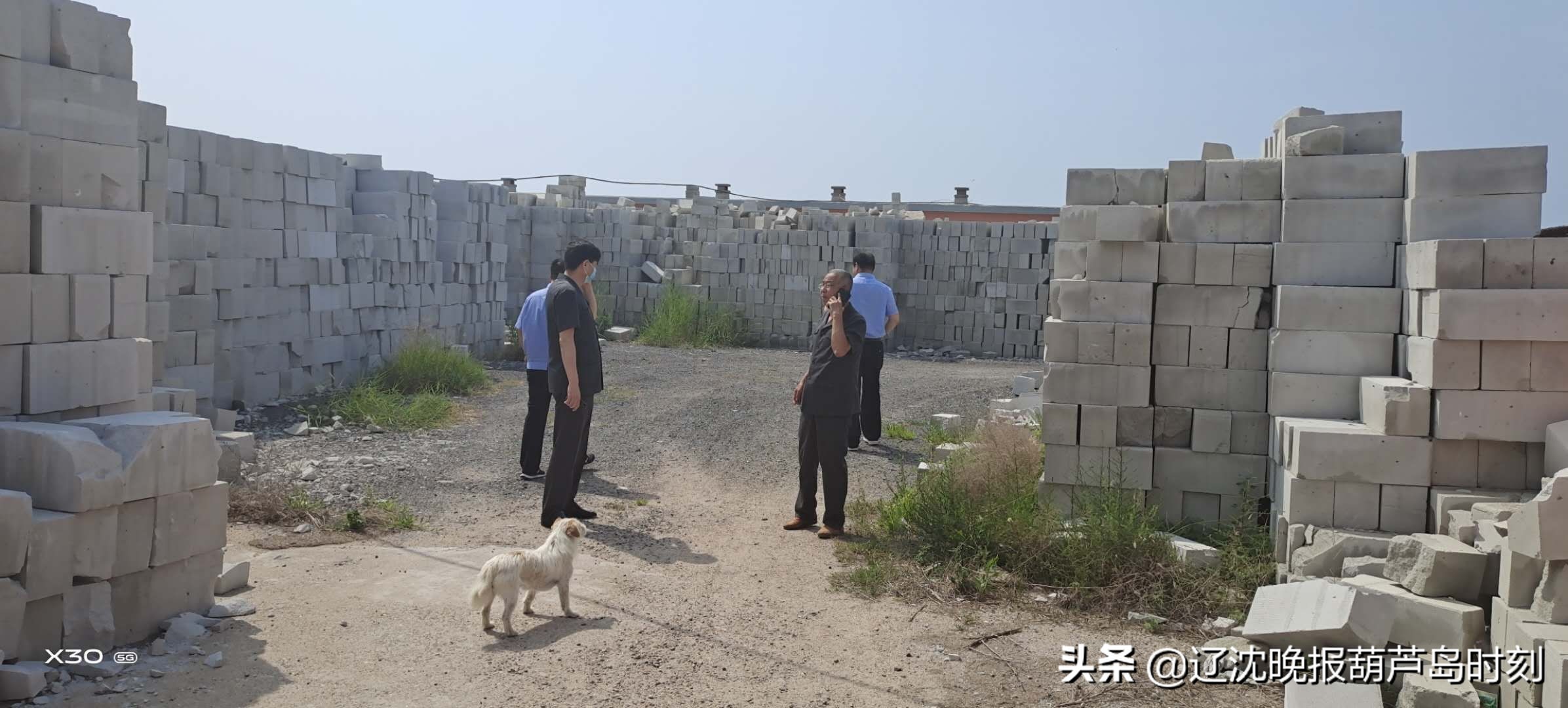 葫芦岛新闻今天,葫芦岛新闻头条今日