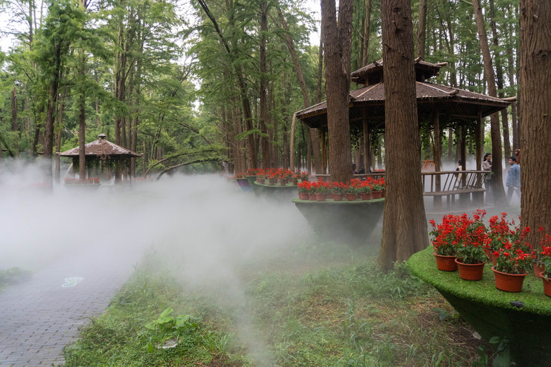乘着高铁去踏青赏景,乘着高铁游扬州高邮北