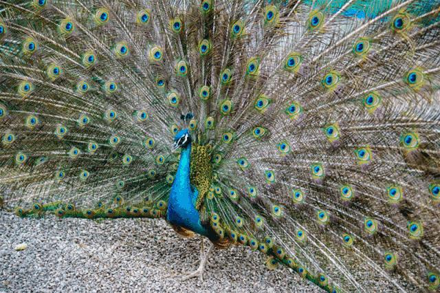 栾川湖景民宿,栾川森林氧吧民宿