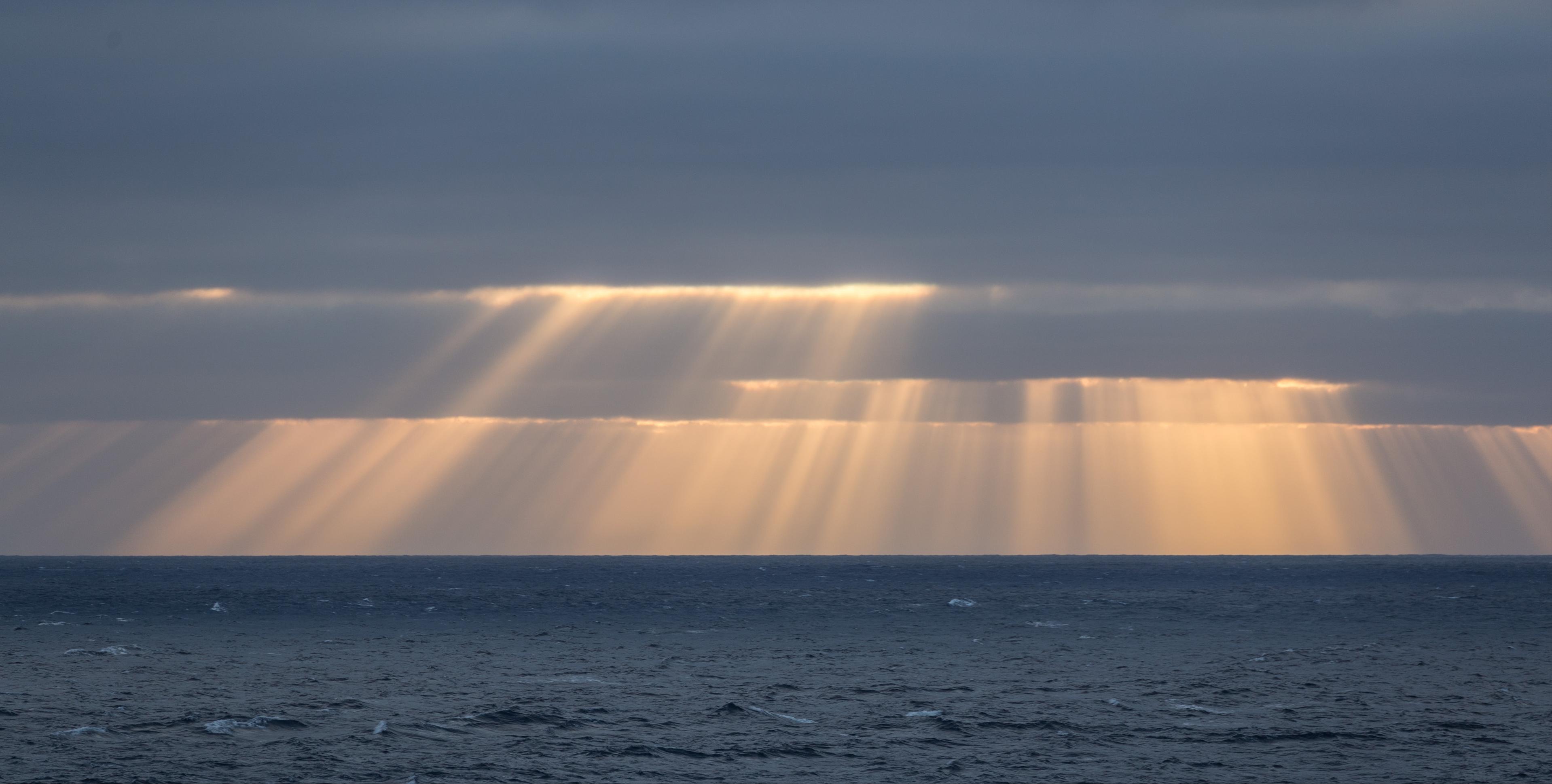 船员在海上可以钓什么鱼 (远洋船员海钓的各种鱼获)