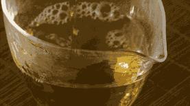 茶贝熊奶茶店现状,茶贝熊奶茶店是什么