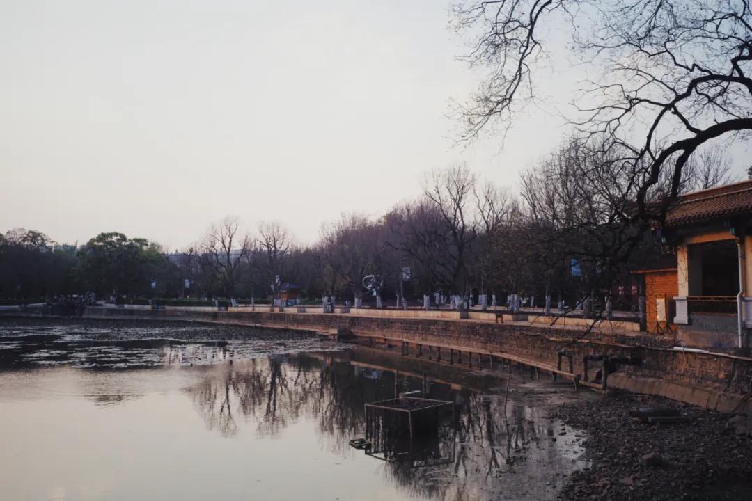 出发四季如春之地昆明,云南昆明攻略冬天