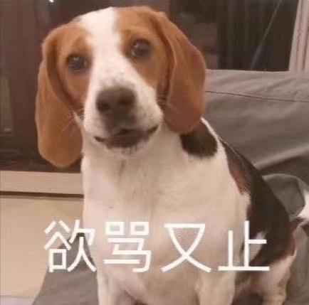 “穿着1万6的羊绒衫上班，老板夸我像章泽天”